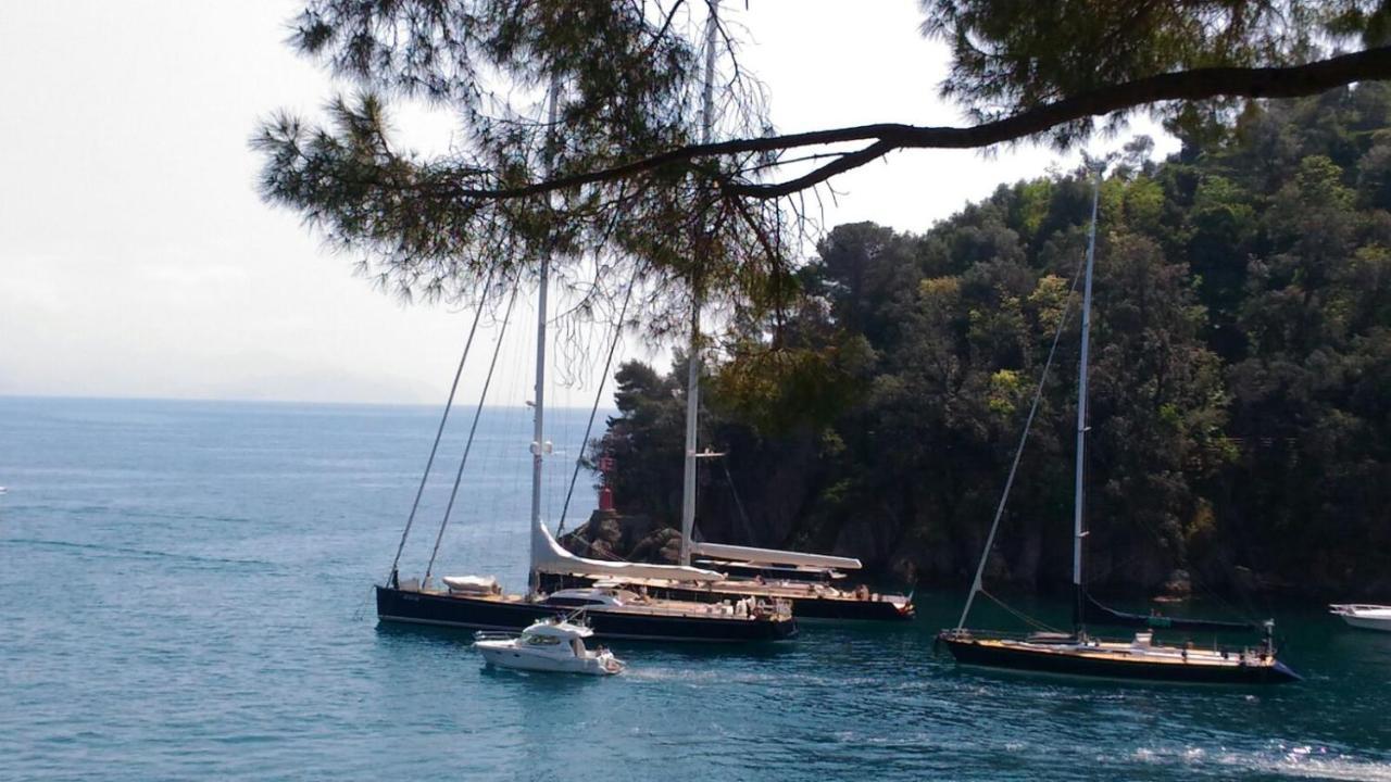Liguria Home 4 - Recco Centro A 2 Minuti Dal Mare Eksteriør bilde