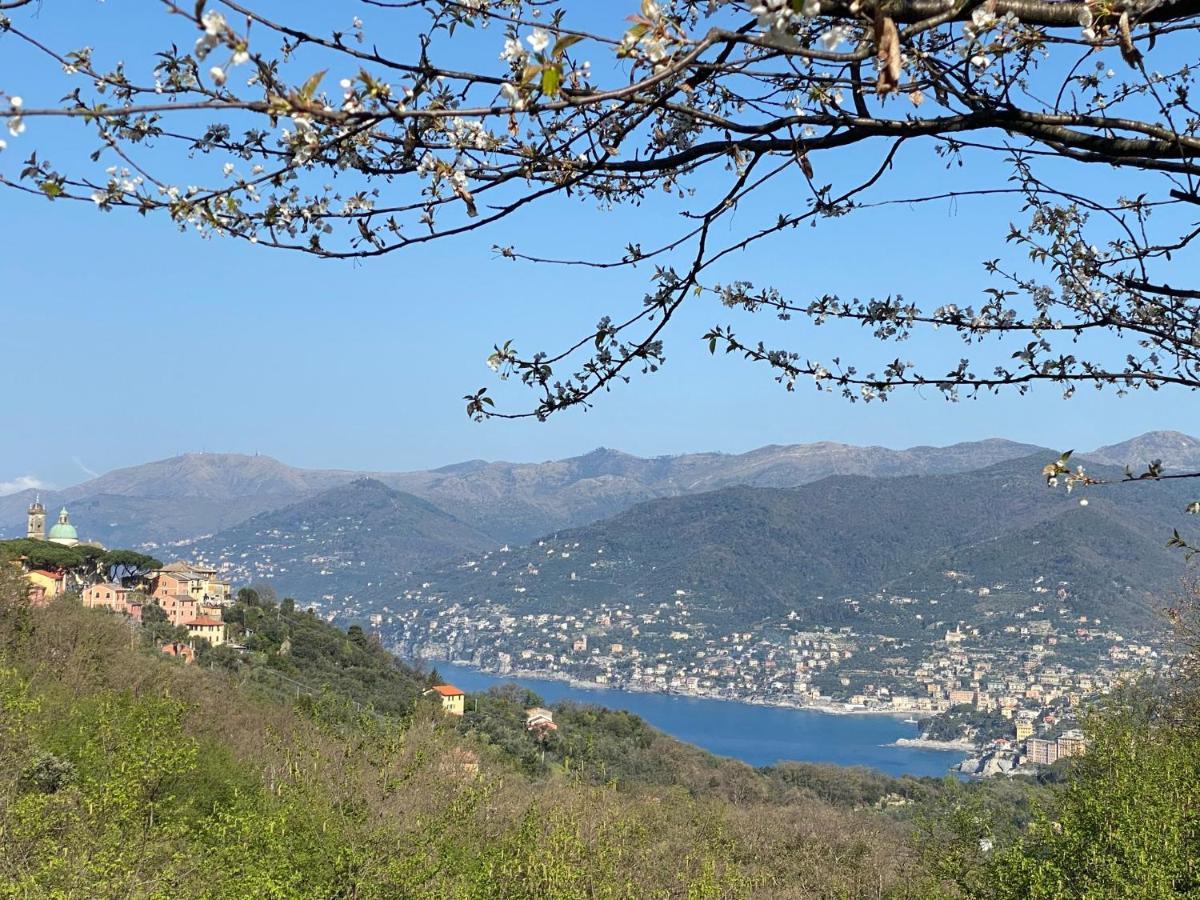 Liguria Home 4 - Recco Centro A 2 Minuti Dal Mare Eksteriør bilde